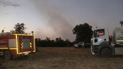 Sazlık alandaki yangın ormana sıçradı
