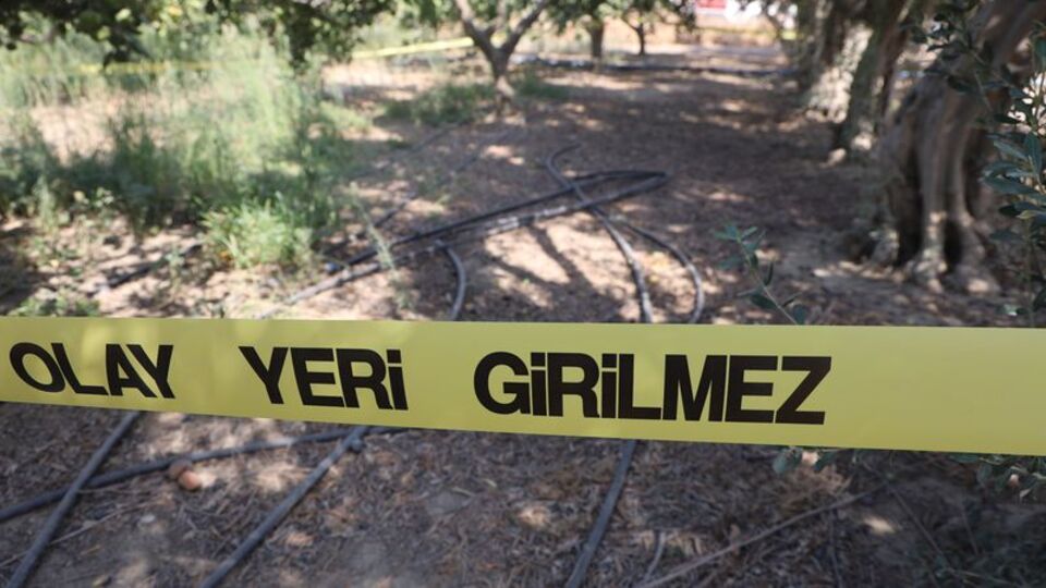 Narenciye bahçesinde satırlı cinayet!