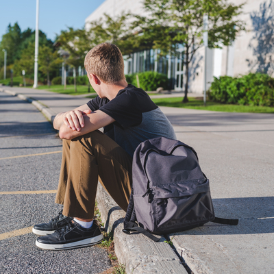 Liselerde her 3 erkekten biri hem zorba hem mağdur