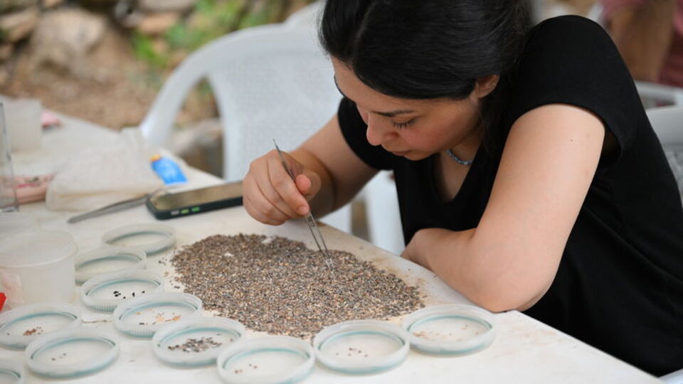 Direkli Mağarası'nda 'Epipaleolitik Dönem' keşfi