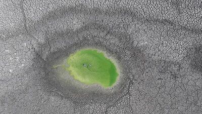 Edirne'de korkutan manzara! 5'inden 4'ü tamamen yok oldu