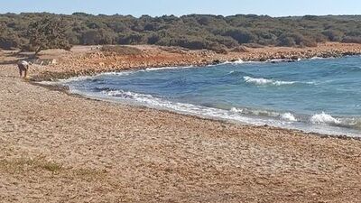 Göçmen botu battı: Anne ve oğlu öldü