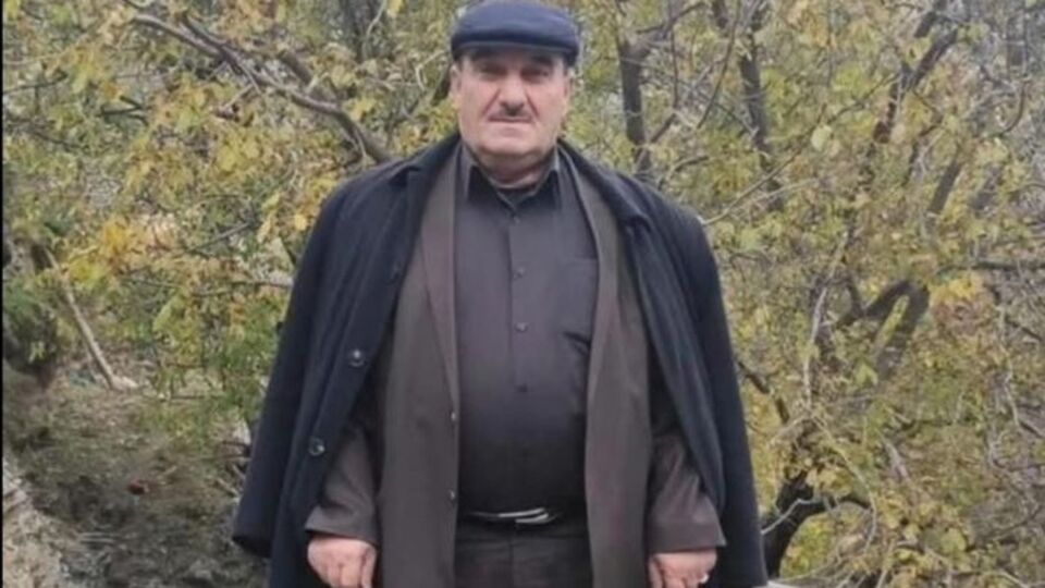 Ceviz silkelerken ağaçtan düştü! Hayatını kaybetti