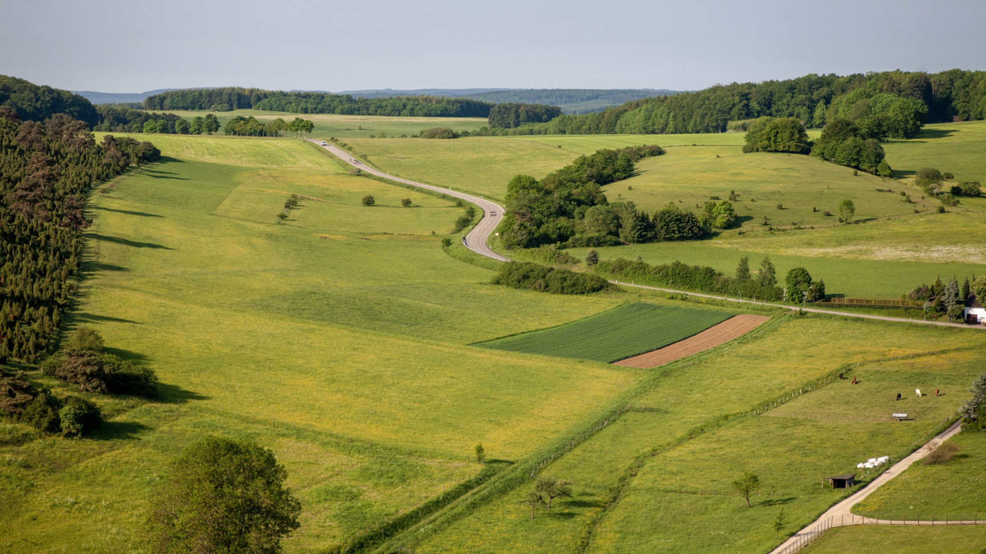 TOKİ 29 ilde 449 arsa satışı ne zaman? TOKİ 449 arsayı hangi ödeme planına göre satacak, çevrim içi teklif verilir mi, teminat tutarı ne kadar?