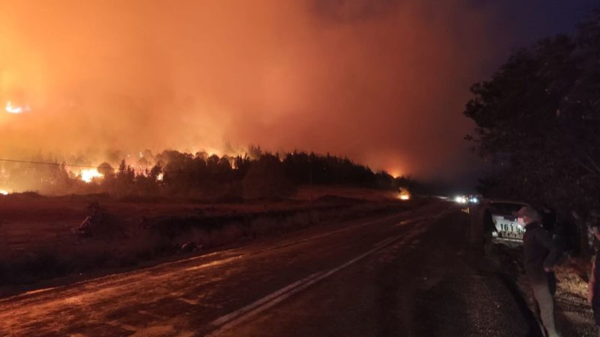 Bursa'da orman yangını!