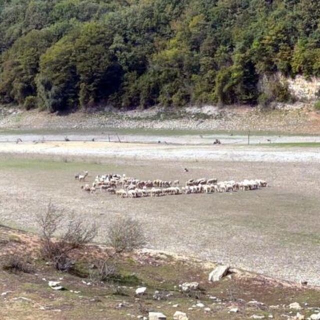 İstanbul'da barajlar yüzde 30'un altına indi
