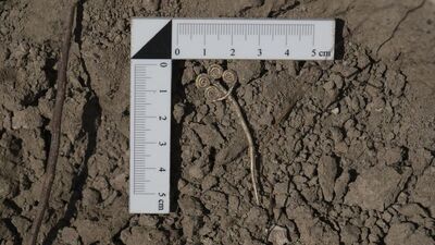 Troya'da '100' yılın keşfi!