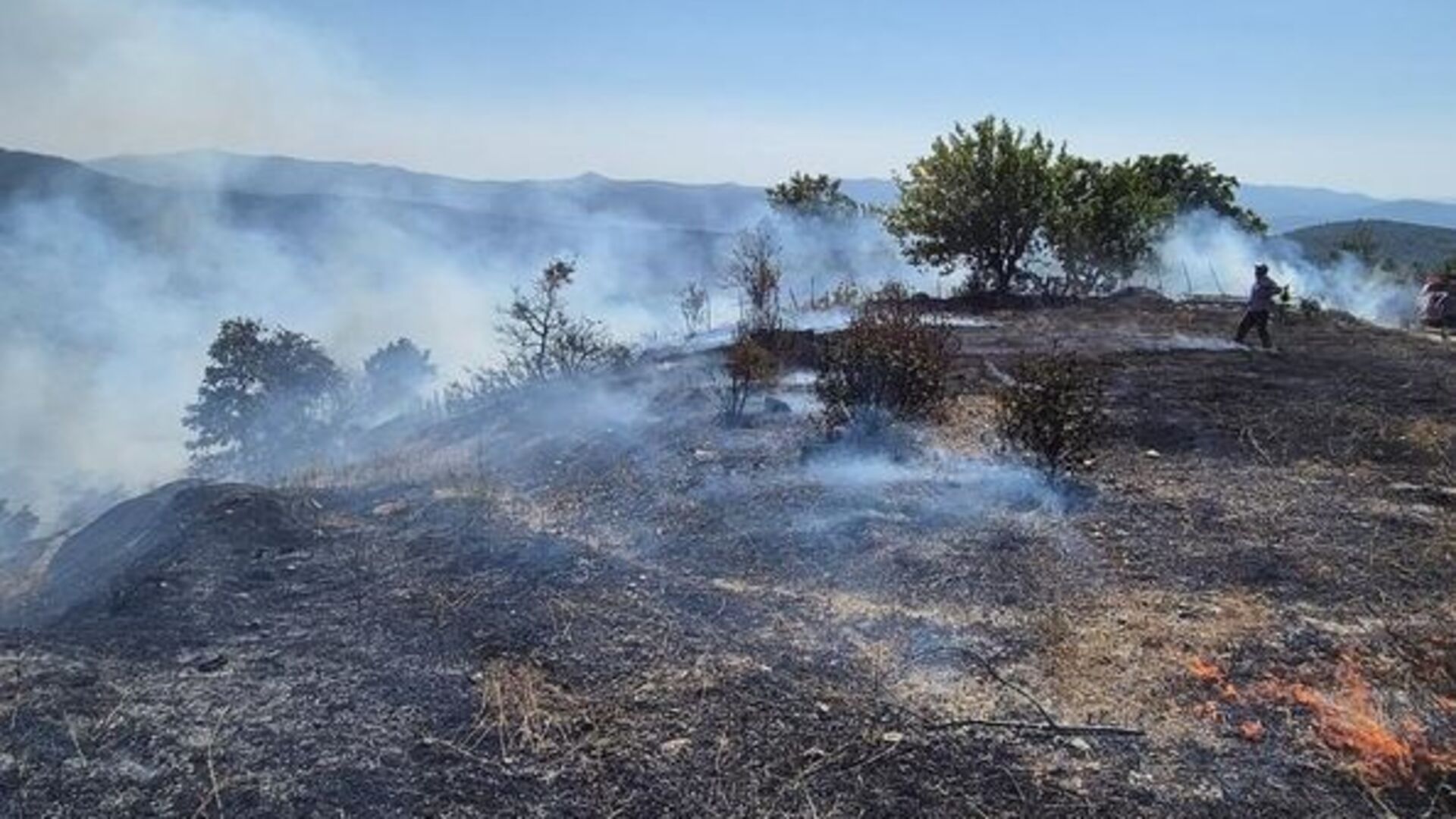 Bursa'da ormanlık alanda çıkan yangın kontrol altına alındı
