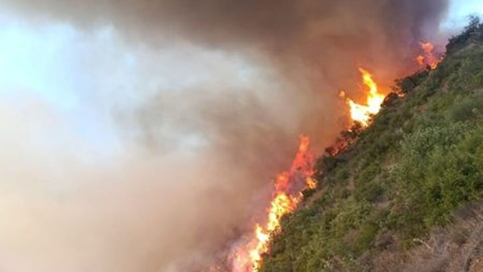 Balıkesir'de yangın söndürüldü