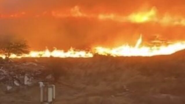 Küçükçekmece'de korkutan yangın