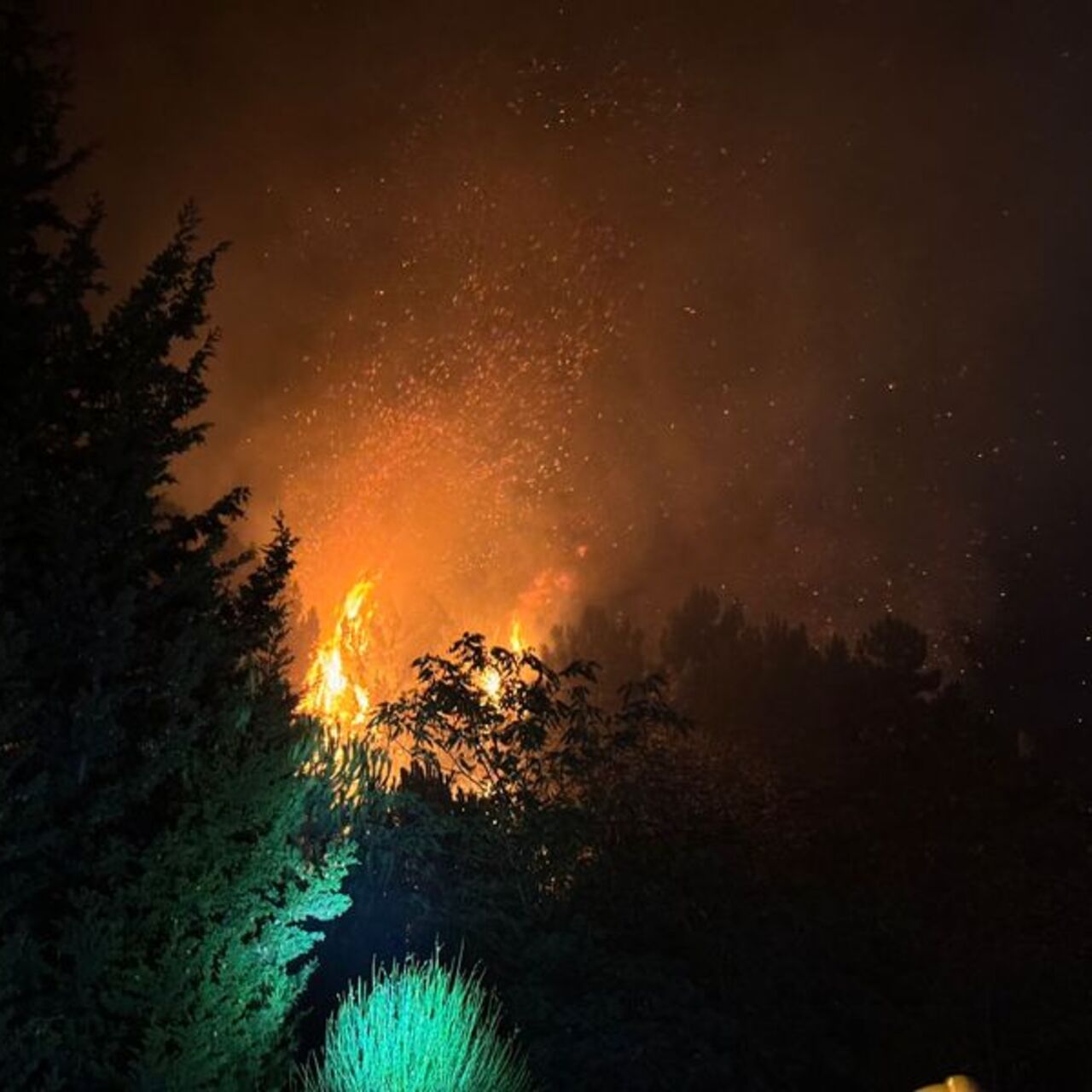 Beykoz'da orman yangını | Detaylı Analiz
