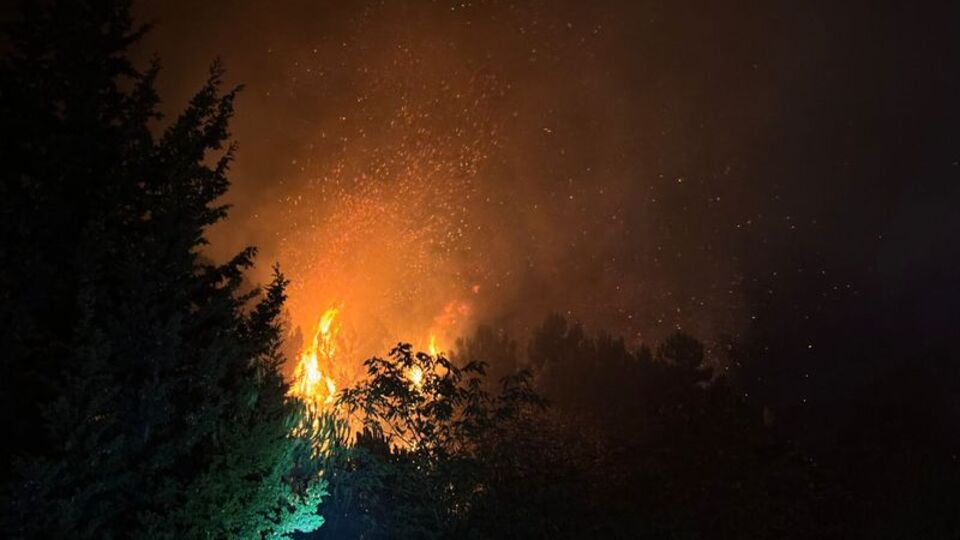 Beykoz'da orman yangını