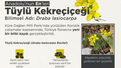 'Anadolu'nun En'leri arasına girdi