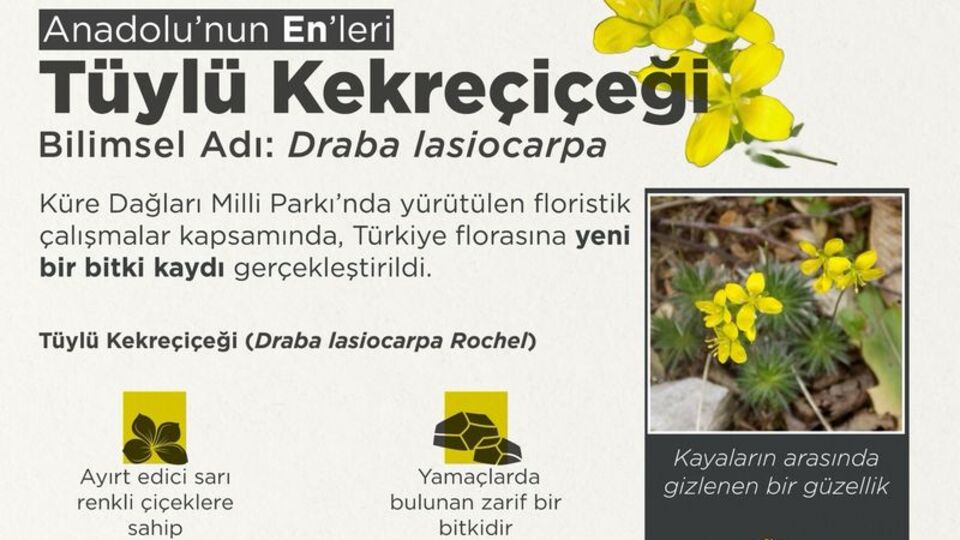 'Anadolu'nun En'leri arasına girdi