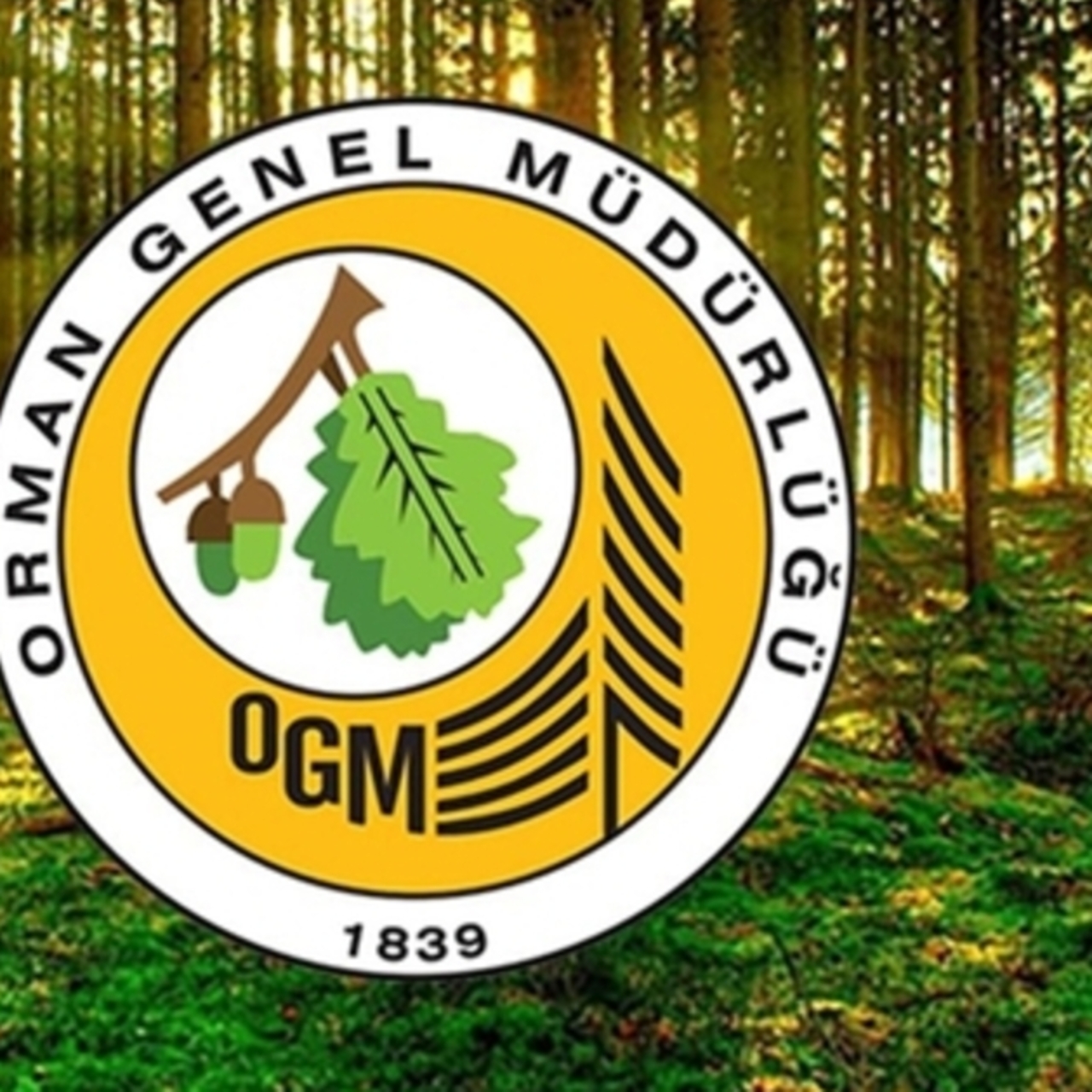 Orman Genel Müdürlüğü personel alımı yapıyor