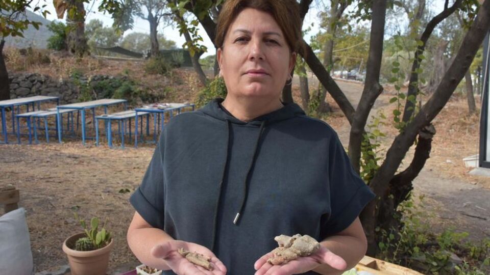 8 bin yıllık keşif! "Bu kadar küçüklere ilk kez rastlıyoruz"