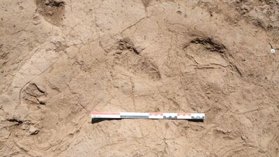 Hatay'da keşfedildi... 7 bin yıllık!