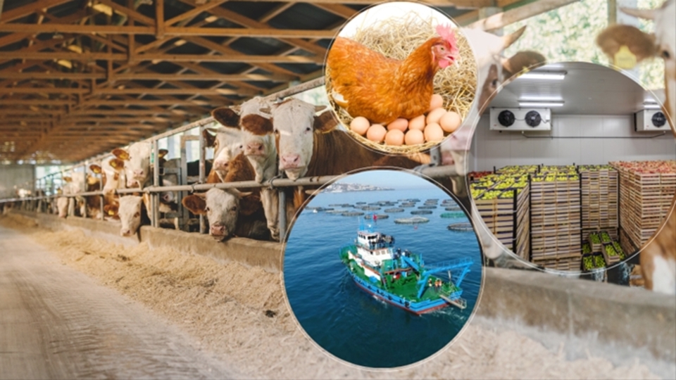 Tarım ve balıkçılık yatırımına IPARD III Programı desteği