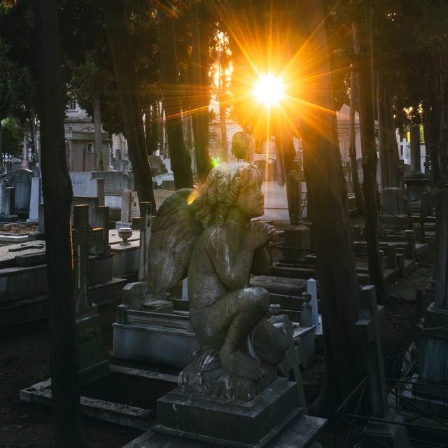 Mustafa Seven'den yeni sergi: Memento