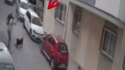 Köpeğe kemerle vurdu!