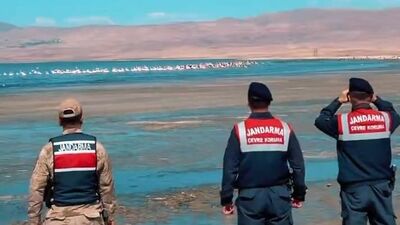 Erçek'teki flamingoları jandarma koruyor