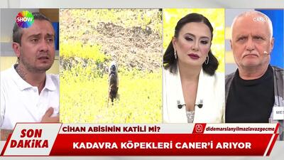 Kadavra köpekleri Caner'i arıyor