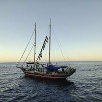 İsrail'den Küresel Sumud Filosuna müdahale