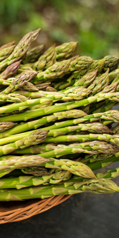 Faydaları saymakla bitmiyor