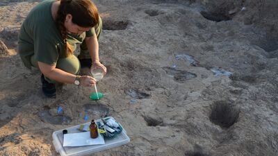 7 bin yıllık ayakizi