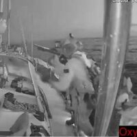 Gazze'ye yardım götüren Sumud Filosu'na İsrail baskını!