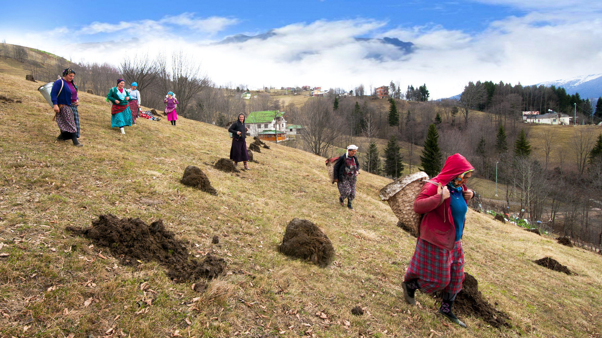 Karadeniz'in Görünmez Düşmanı: Yüksek Nem Çiftçilerin Akciğerlerini Tehdit Ediyor!