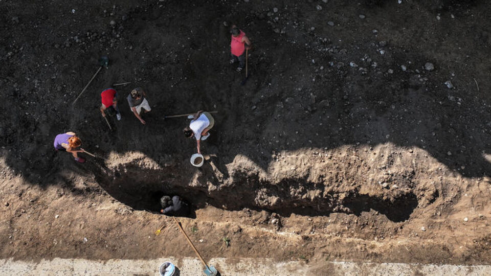 Mersin'de 4 yıl önce toprağa gömülen Fin balinasının iskeleti çıkarılıyor