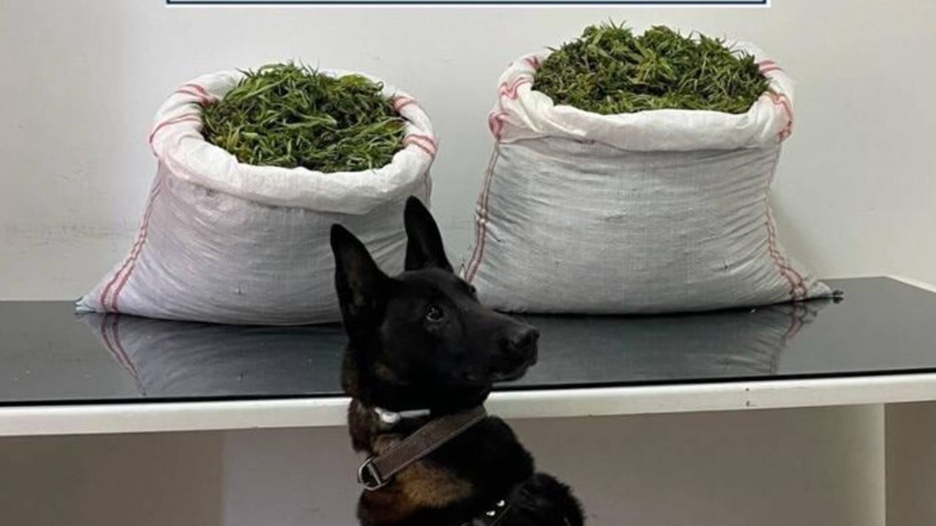 Erzurum'da uyuşturucu operasyonunda 32 kilo uyuşturucu ele geçirildi