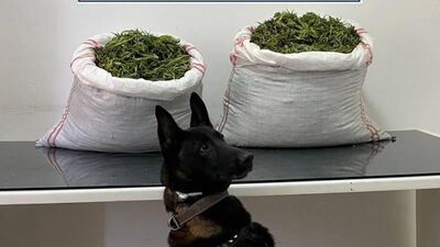 Erzurum'da 32 kilo uyuşturucu ele geçirildi