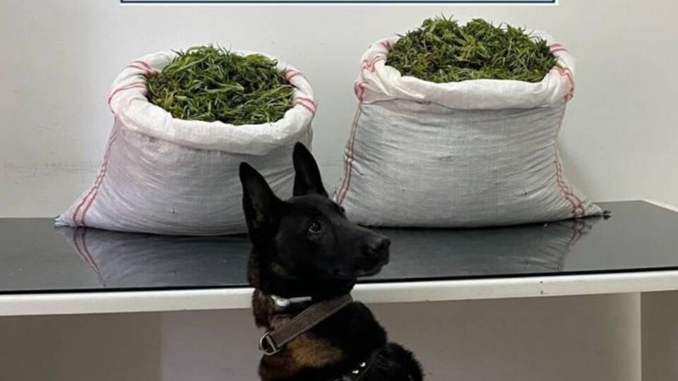 Erzurum'da 32 kilo uyuşturucu ele geçirildi