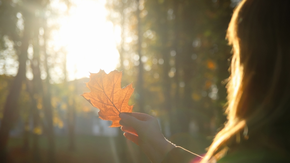 Soğuyan havalarla gelen gizli tehlike