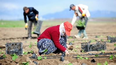 Tarım BAĞ-KUR'luları dikkat!