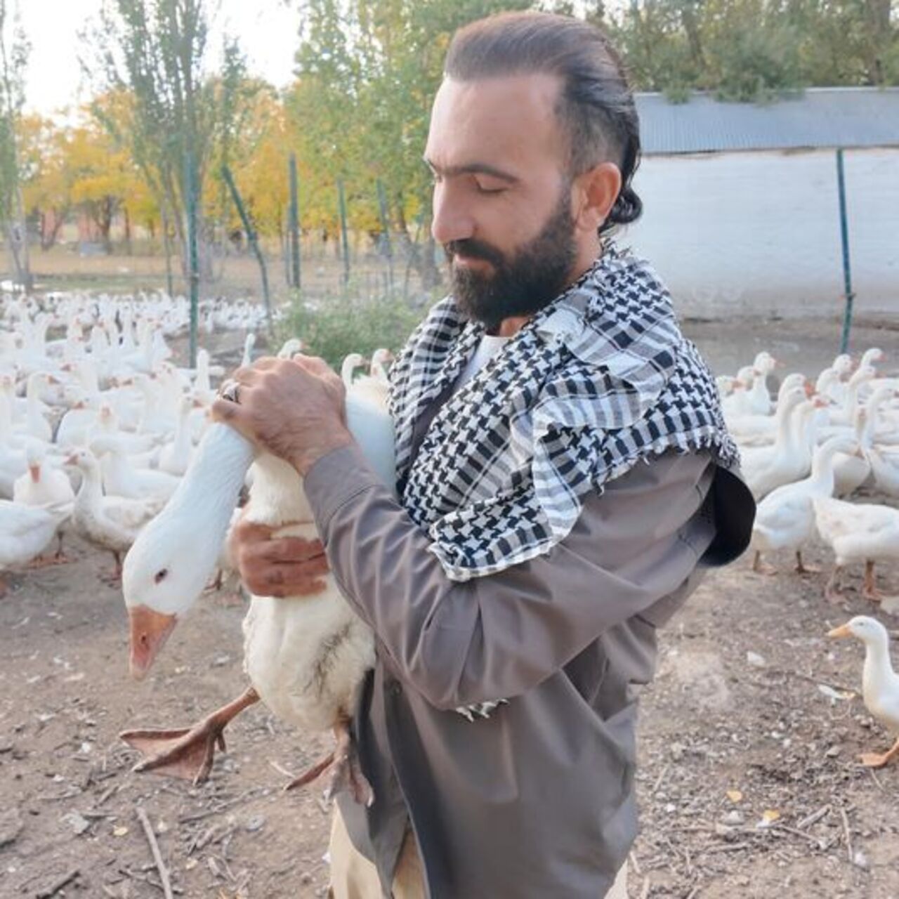 Şaşırtan bağ! Islıkla etrafına topluyor