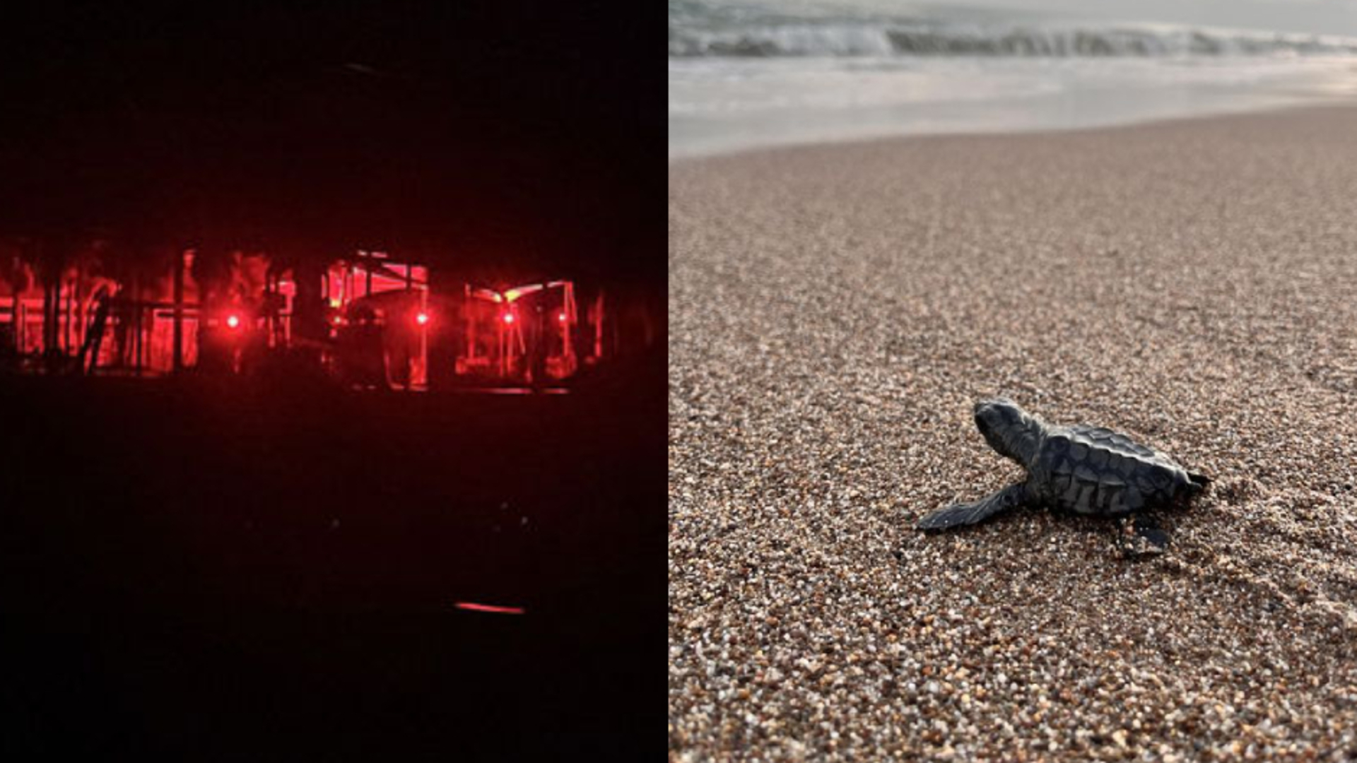 "Kırmızı ışık" projesi 4 otelde başladı | Son dakika haberleri