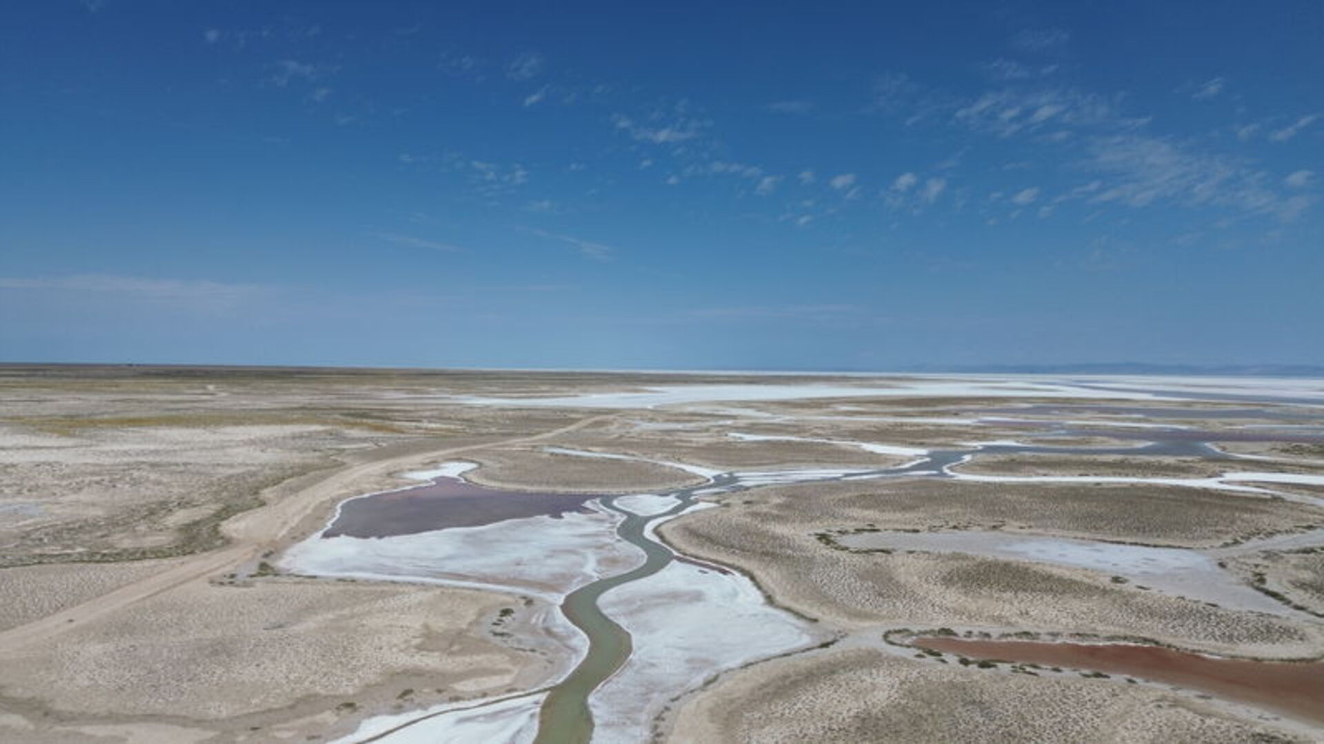 "Tuz Gölü'nde biyolojik çeşitlilik tehlikeyle karşı karşıya" | Son dakika haberleri