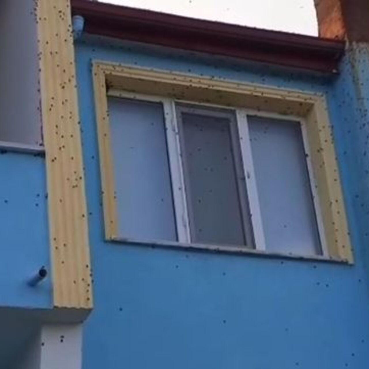 Bartın'da kabus! Ev ve arabaları istila ettiler