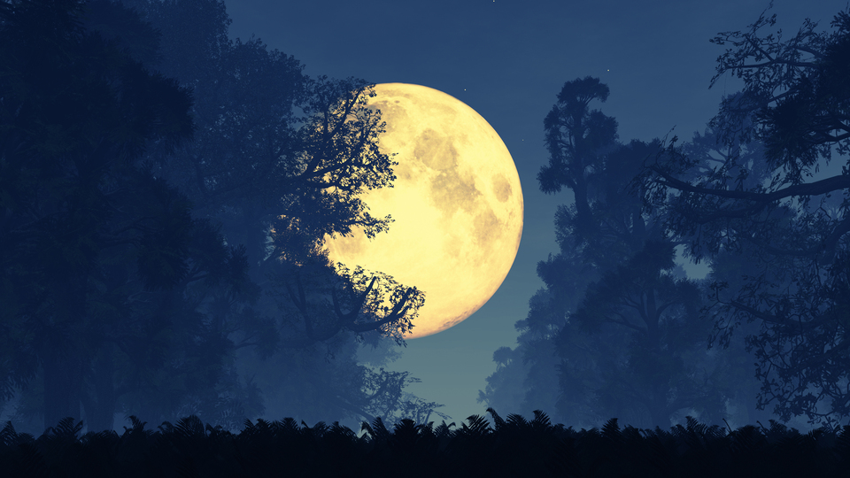 7 Ekim Dolunay'ının burçlara etkisi