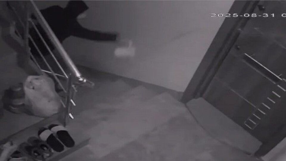 Sınır tanımaz komşu kavgası