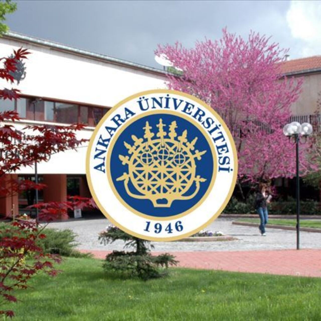 Ankara Üniversitesi nerede?