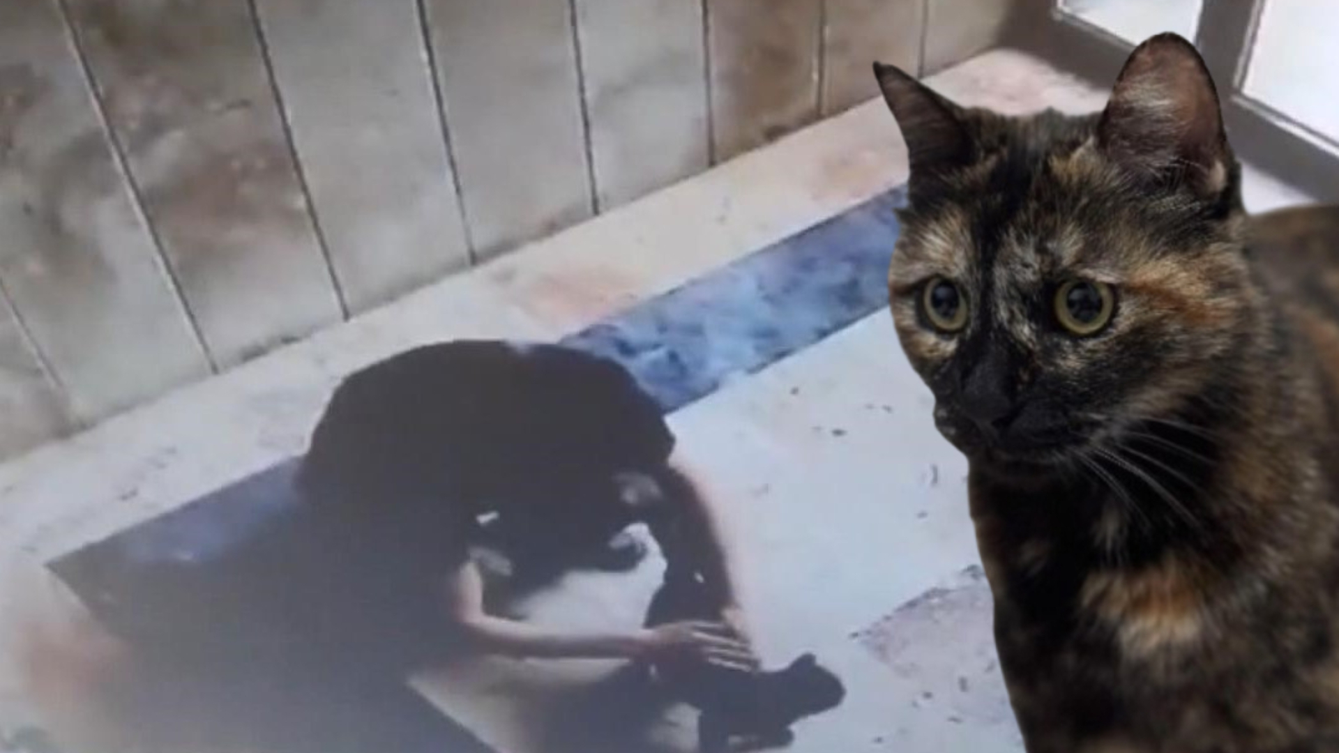 Cezve'nin katiline 3 yıl 8 ay ceza! | Son dakika haberleri