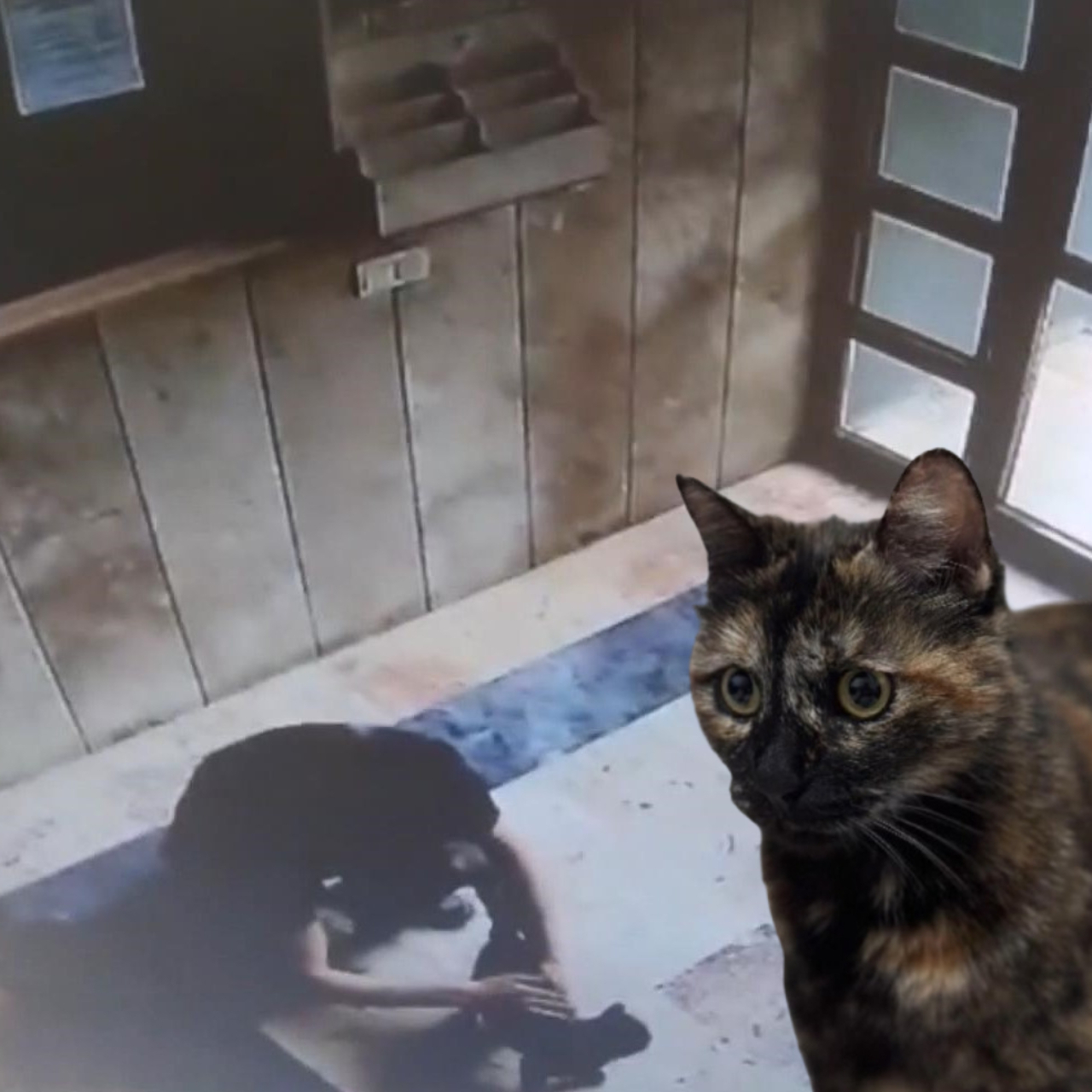 Cezve'nin katiline 3 yıl 8 ay ceza! | Son Dakika