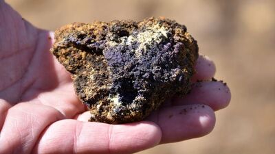 "Türkiye-ABD 'nadir elementler' için görüşüyor"