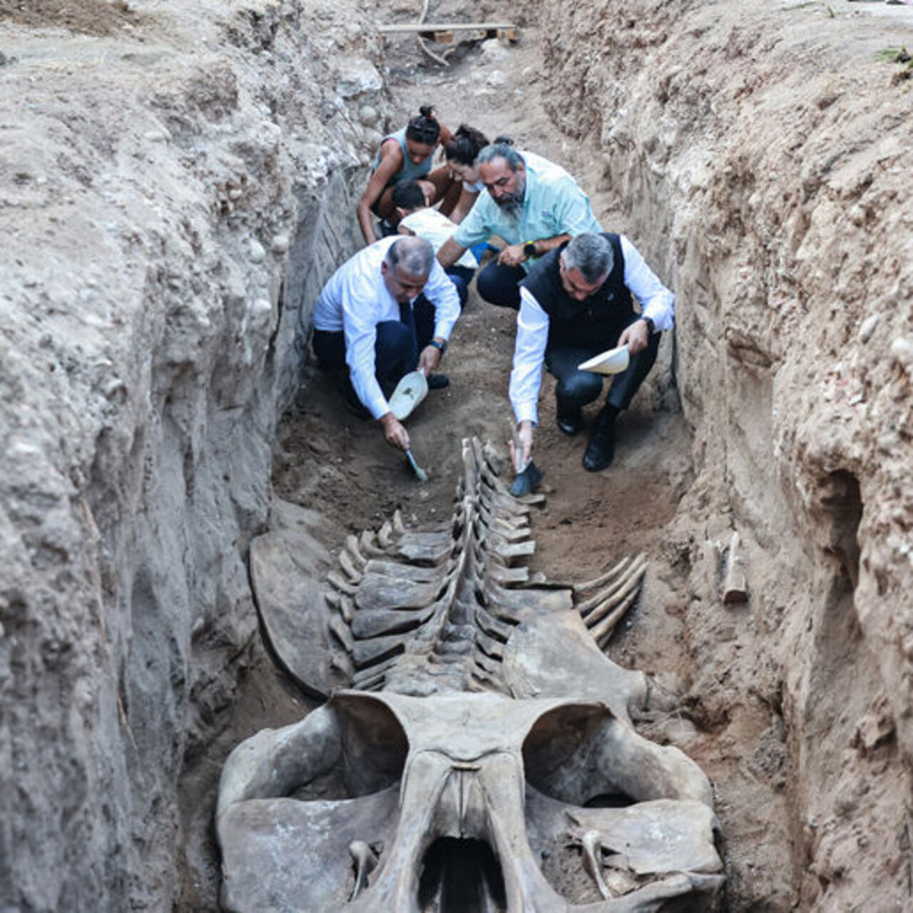 14 metre! Mersin'de topraktan çıkarılıyor