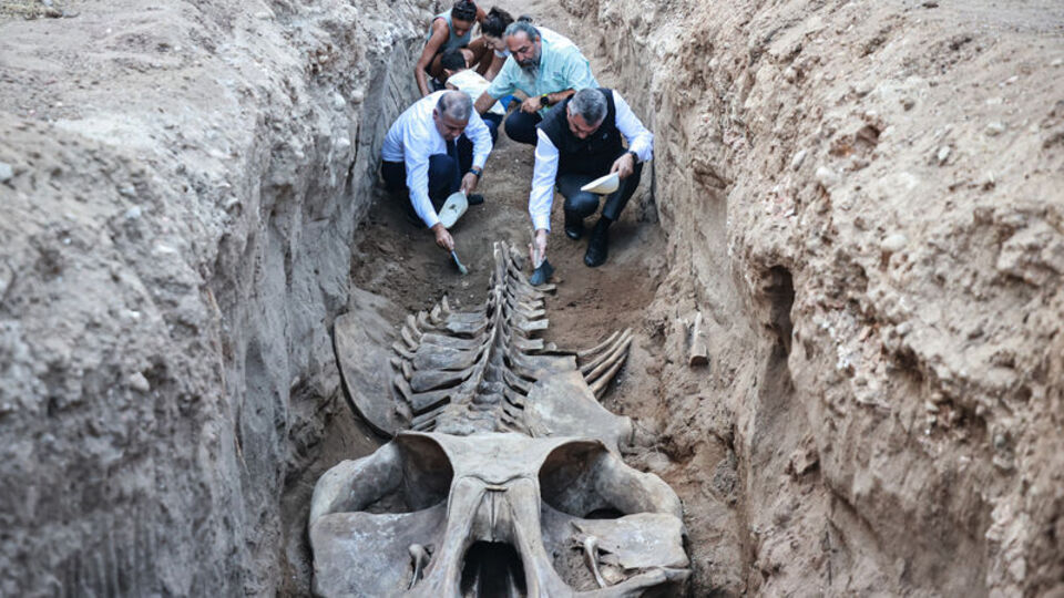 14 metre! Mersin'de topraktan çıkarılıyor