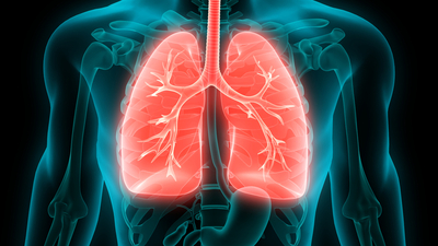 Sigarayı bırakmayı kolaylaştıran 6 öneri